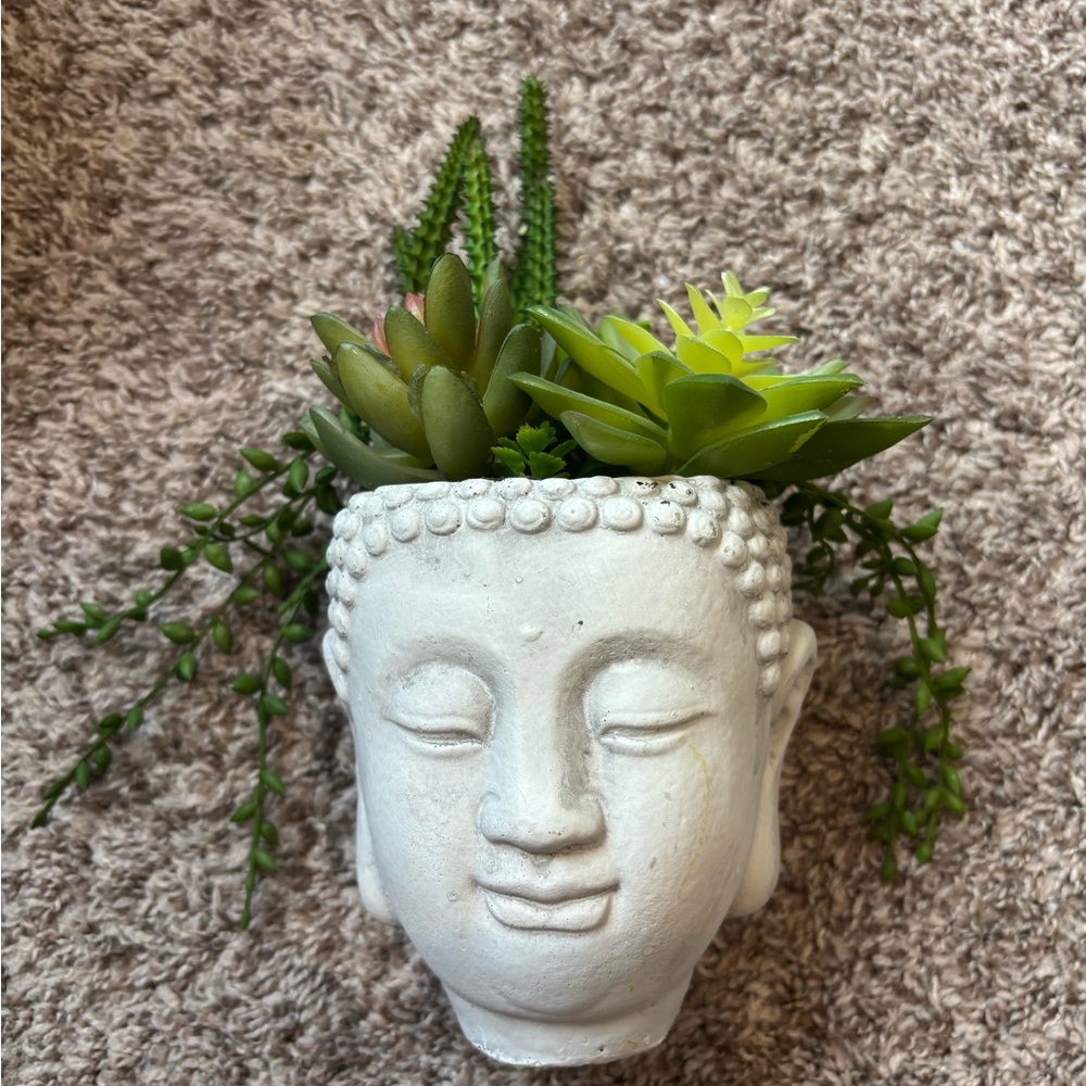 Mini White Buddha Head Planter with Green Succulents